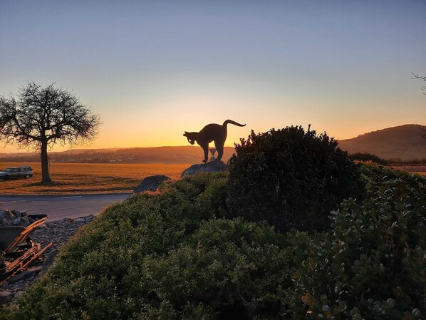 Imagen sin descripción, 1 de 22, botón