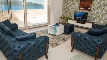 Apartment | Living room | 30-inch TV with digital channels, fireplace