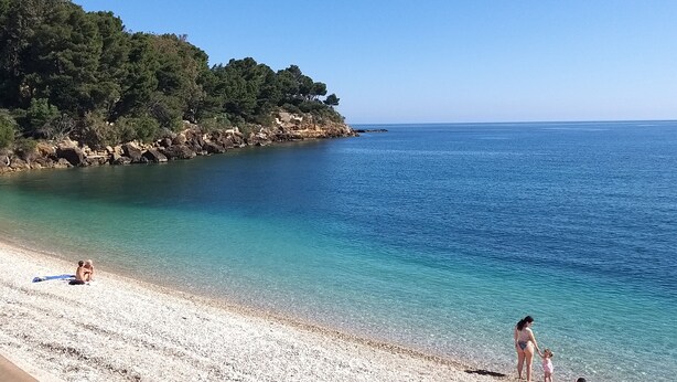 Una playa con aguas turquesas cristalinas, un litoral rocoso y árboles verdes frondosos a la izquierda.