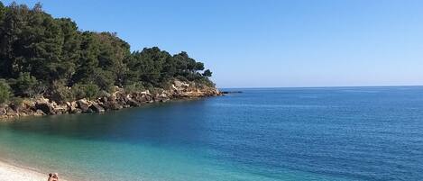 Plage, chaises longues
