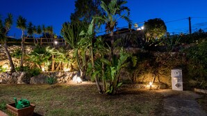 Un jardín con diversas plantas y un muro de piedra.