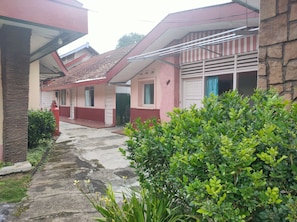 Puutarha