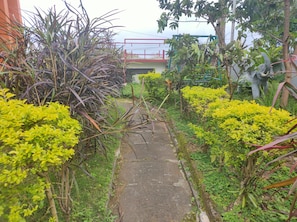Puutarha