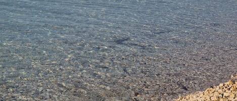 Ubicación cercana a la playa