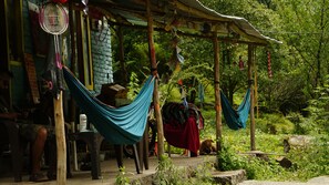 Property grounds - PROJECT YETI COMMUNITY CAMPING KASOL (Kasol)