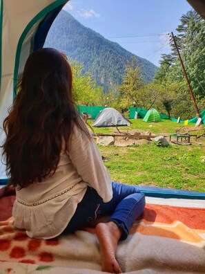 Property grounds - PROJECT YETI COMMUNITY CAMPING KASOL (Kasol)