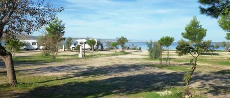 A campsite with a gravel path, trees, and a body of water in the background.