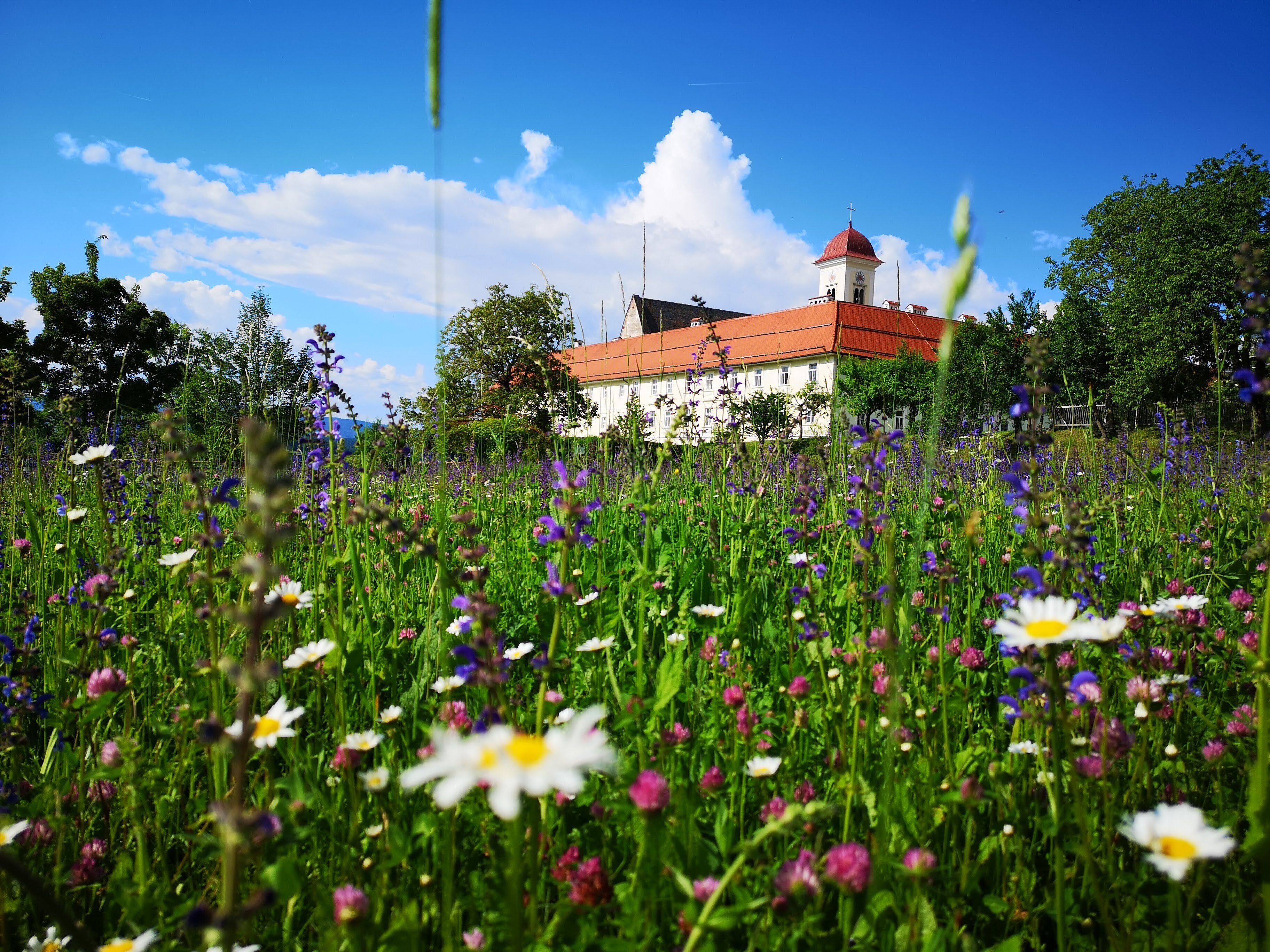 Vista frontal de la propiedad