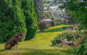 Property grounds - Gorgeous home in Sarnikierz (Sarnikierz)
