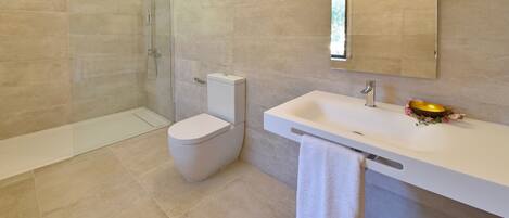 A modern bathroom with a glass-enclosed shower, a toilet, and a sink with a towel hanging on the side.