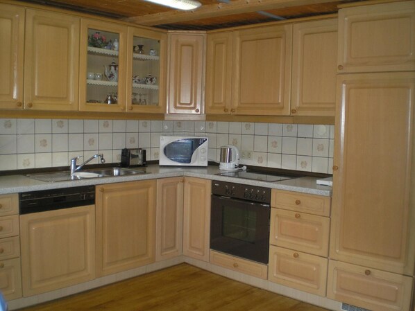 Kühlschrank, Mikrowelle, Herdplatte, Geschirrspüler