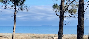 RENTAL - all year round Plage de la Marana Borgo