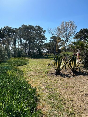 RENTAL - all year round Plage de la Marana Borgo