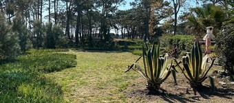 RENTAL - all year round Plage de la Marana Borgo