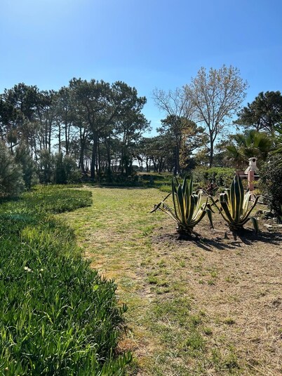 RENTAL - all year round Plage de la Marana Borgo