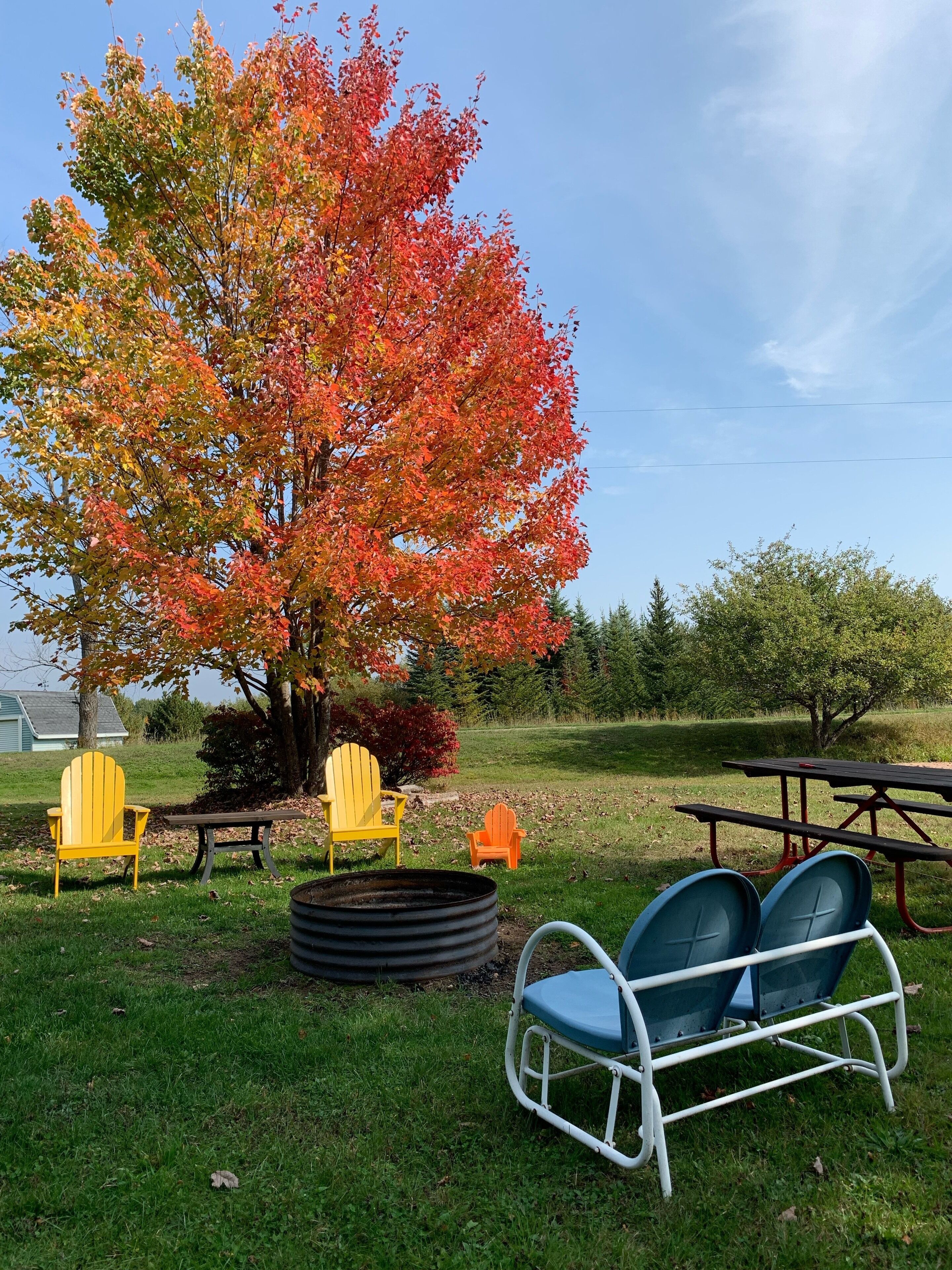 Un espace pique-nique avec des sièges extérieurs, un foyer et un grand arbre aux feuilles d’automne.