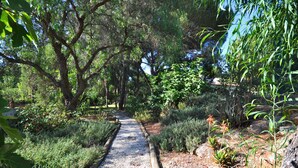 A gravel path flanked by dense greenery and trees, leading through a landscaped garden area. - Fantastic outdoor area, private pool, Tennis Court & Golf Practice Facility (Faro)