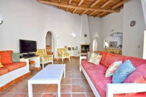 Smart TV, fireplace, books
