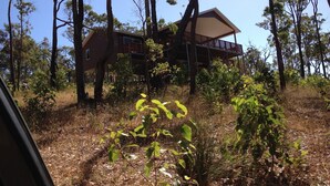 A two-story wooden cabin with a balcony, surrounded by trees and dry grass. - Blue Wren Retreat, Nannup - "Resting Place" (Nannup)