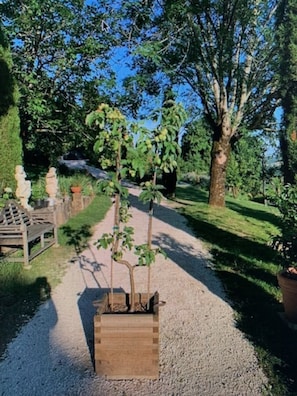 Puutarhapolku, jonka varrella on puinen penkki ja ruukuissa olevia kasveja.