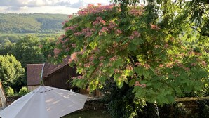 Une terrasse avec une table et des chaises, un grand parasol et un arbre aux fleurs roses.