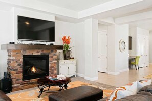 TV, fireplace, video games, DVD player