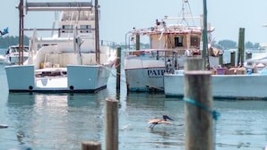 A marina with several boats docked, a wooden dock in the foreground, and a bird swimming in the water.