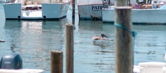 Private retreat walking distance to beautiful beaches and restaurants.