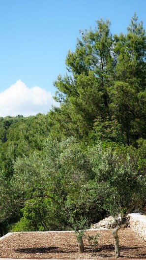 Garden view - Tennis court and outdoor pool villa (Selca)