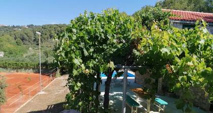 Tennis court and outdoor pool villa