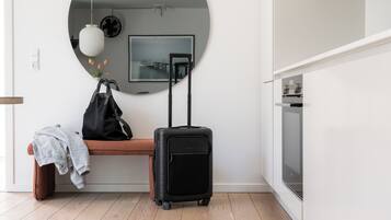 1 bedroom apartment | Living area