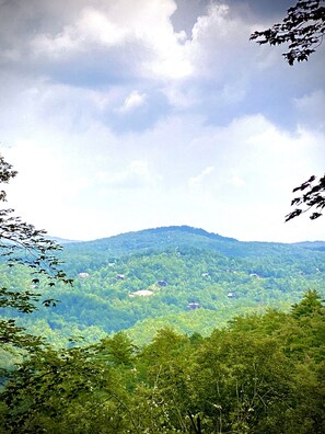 A mountainous landscape with dense green foliage and scattered buildings. - ★Cozy Log Cabin★ Secluded, modern amenities, mins to dwtwn Blueridge. Pets OK! (Blue Ridge)