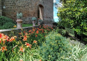 المنطقة المحيطة بالمنشأة