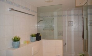 Ensemble douche/baignoire, sèche-cheveux, serviettes fournies, savon