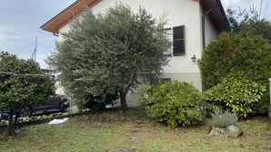 Un immeuble résidentiel avec un toit en pente, un grand arbre devant et une voiture garée à proximité.
