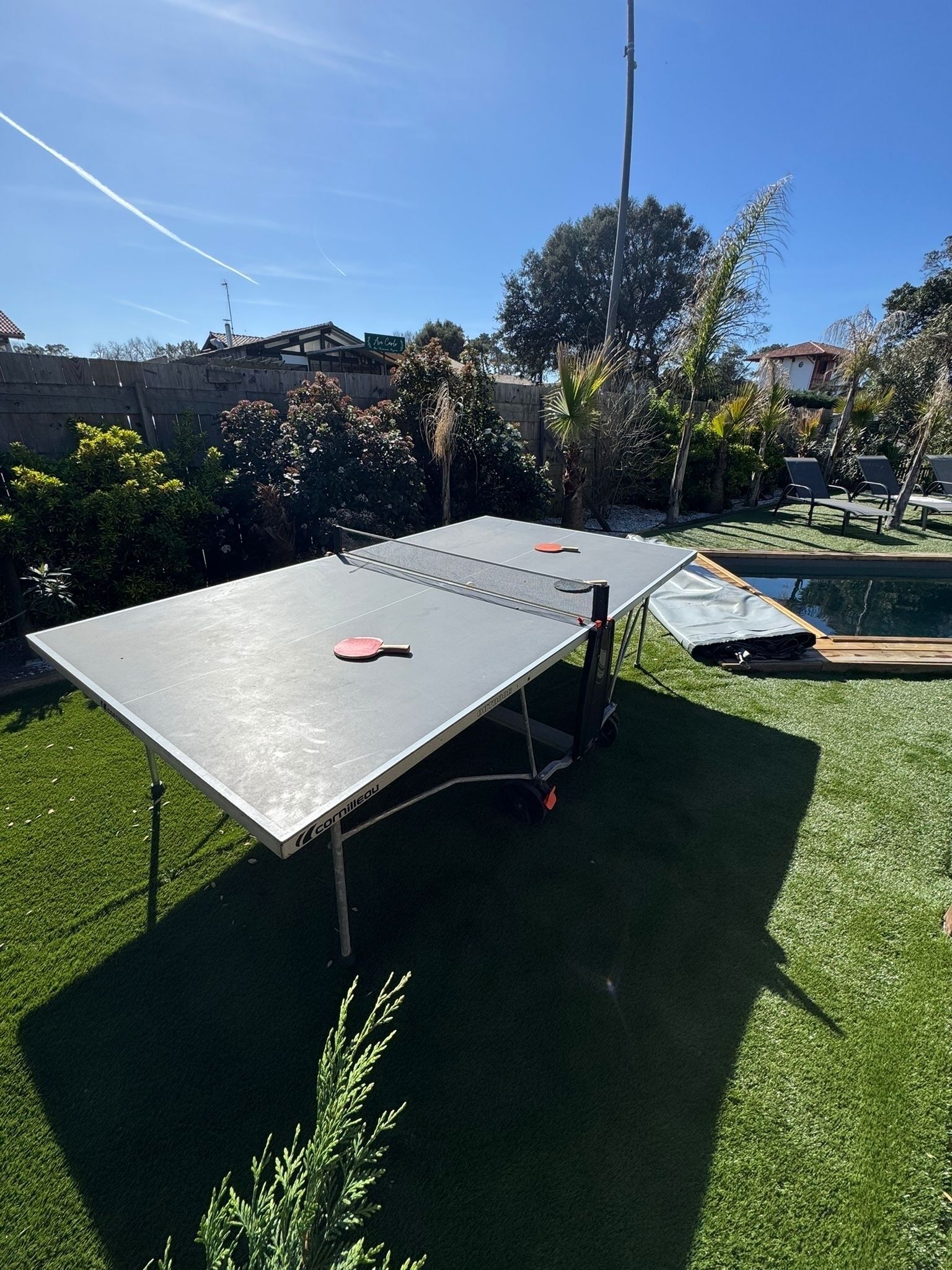 Een pingpongtafel buiten met een net, omringd door kunstgras, met een zwembad en ligstoelen op de achtergrond.