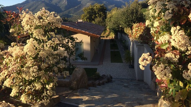 Una casa con tetto in tegole, circondata da piante fiorite e un vialetto in pietra che conduce a un cancello.