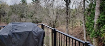 Gorgeous cottage is only a two hour from Toronto