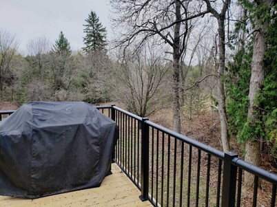 Gorgeous cottage is only a two hour from Toronto