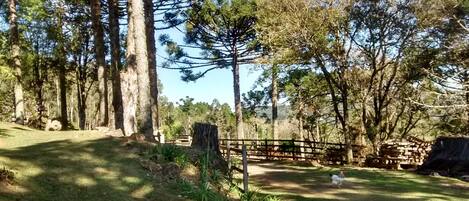 Parco della struttura