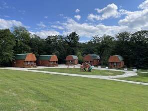Exterior - Loft Cabin #4 near beautiful Cedar River. (Letts)