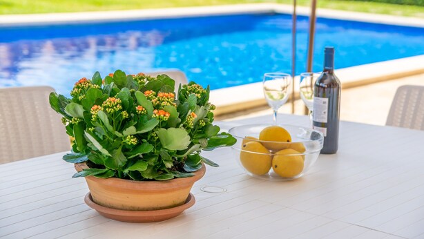 Una mesa con una planta en maceta, un cuenco de limones y una botella de vino, con vista a una piscina.