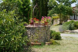 Property grounds - TYPICAL FARM HOUSE WITH POOL IN CHIANTI NEAR SIENA, FLORENCE .. (MONTERIGGIONI)