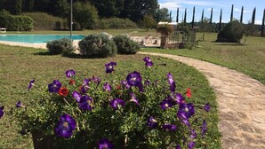 Un jardín con piscina, un sendero pavimentado y diversas plantas.