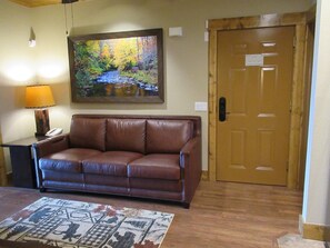 TV, fireplace, DVD player