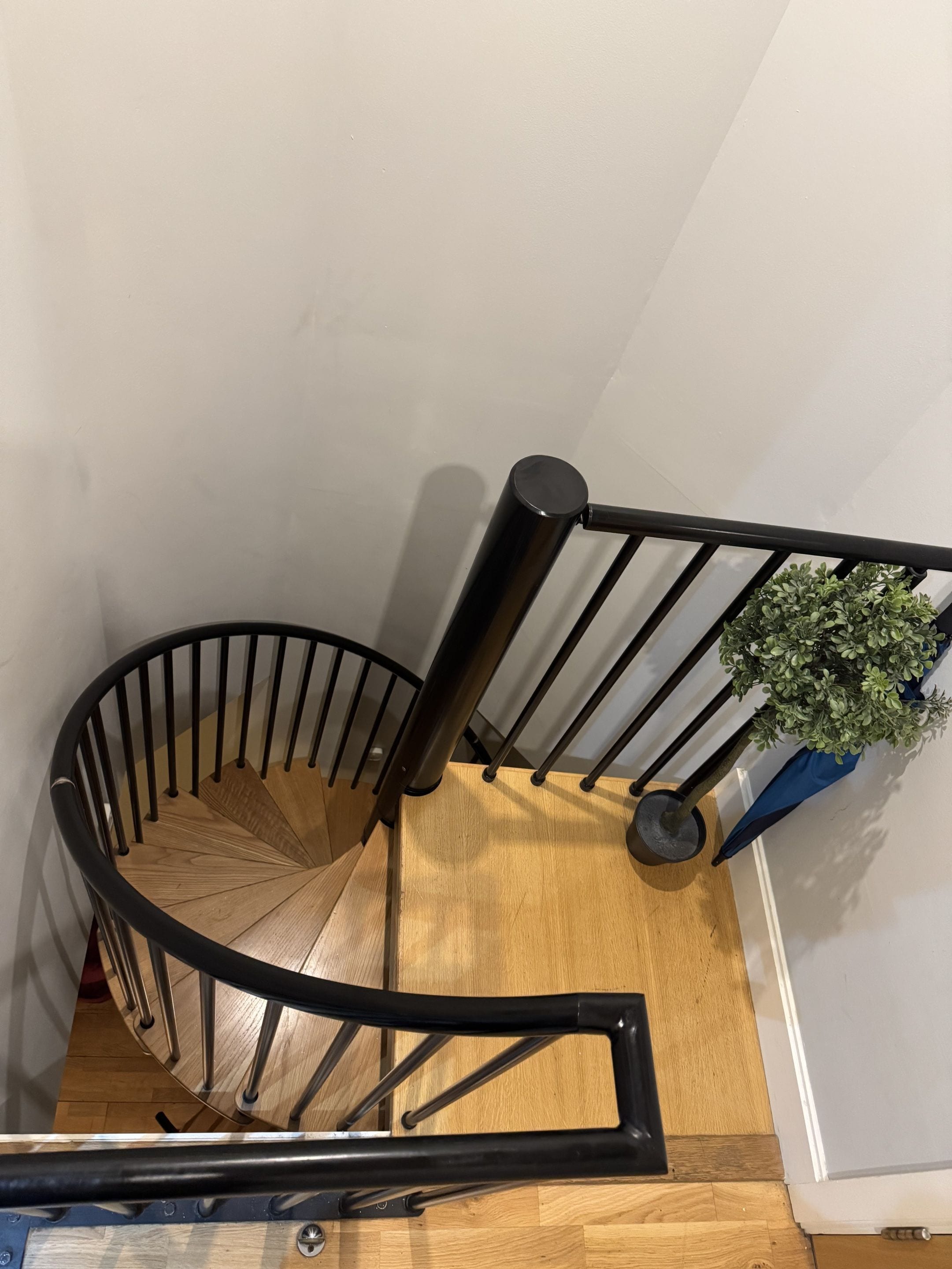 A spiral staircase with wooden steps and black metal railings.