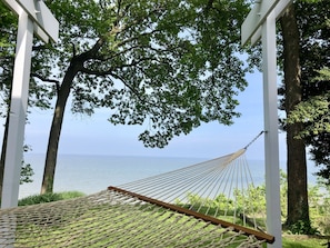 Hammock on back patio