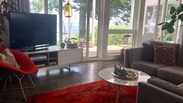 TV connectée, cheminée, lecteur de DVD, livres