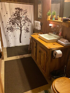 Combined shower/bathtub, hair dryer, towels, soap