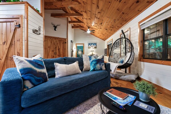 TV, fireplace, books